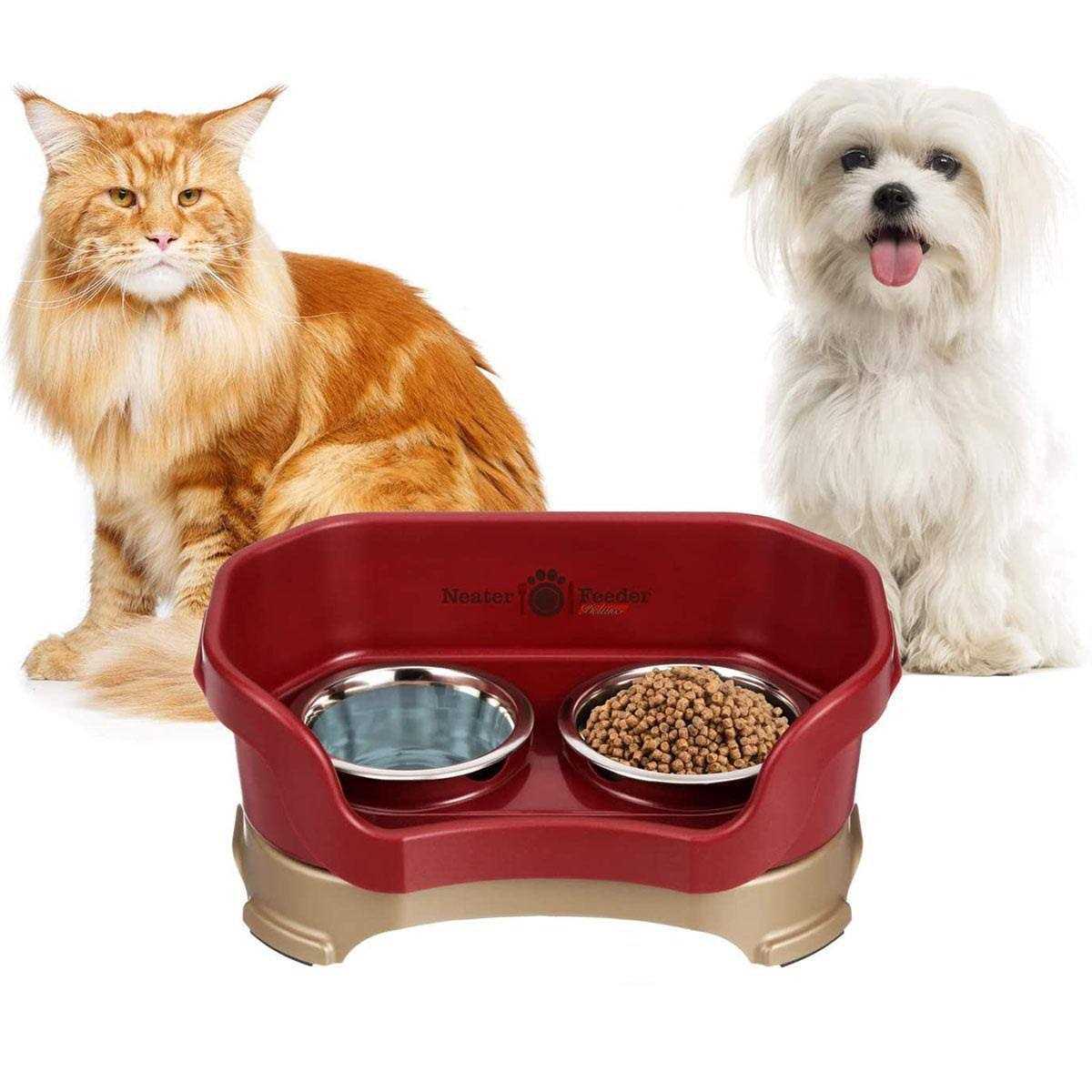 Neater Feeder Deluxe Dog - Pet Supplies online store