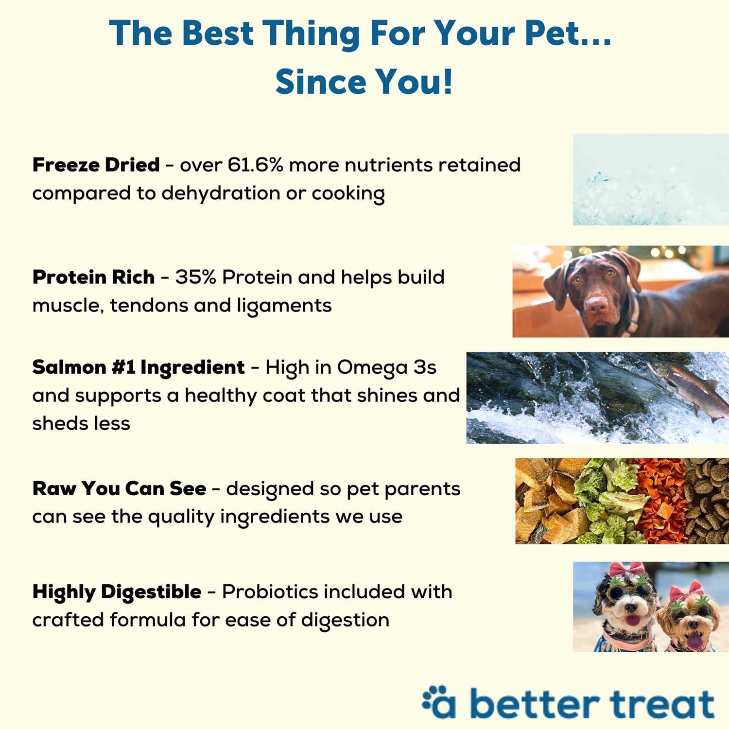 A Better Dog Food Salmon Raw You Can See - Pet Supplies online store