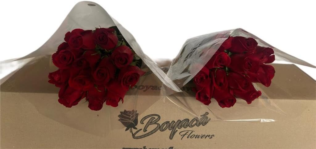 50 fresh roses, long stem 19.7