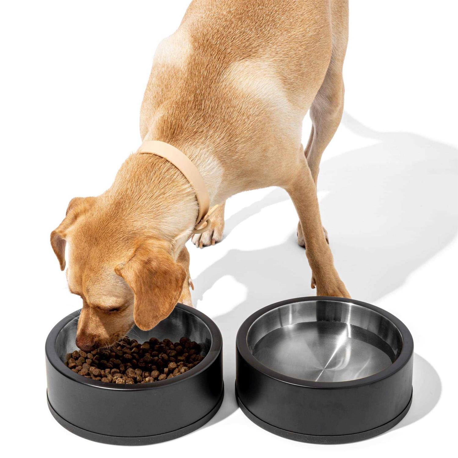 Wild One Bowl - Pet Supplies online store