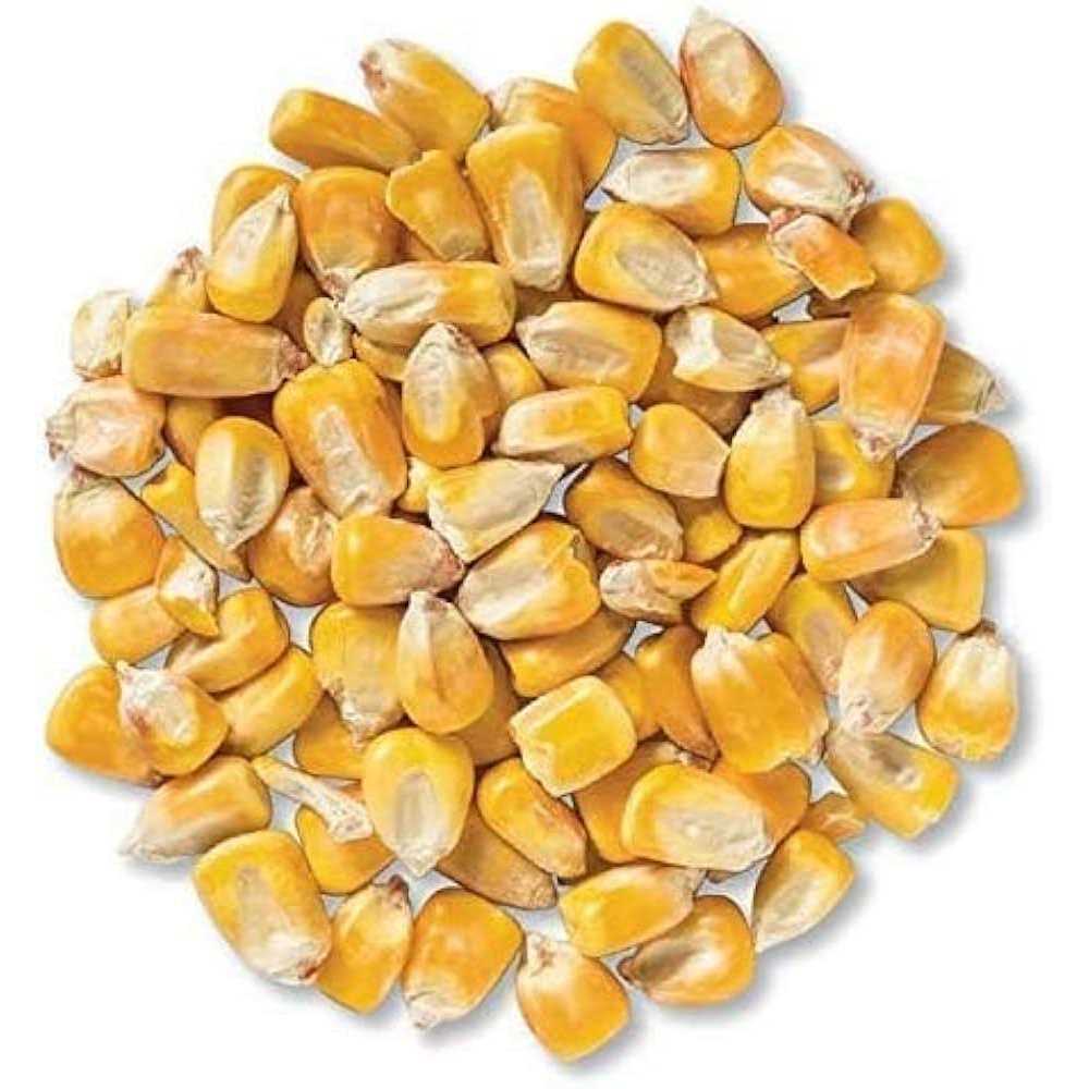 CountryMax Bulk Whole Corn for Wildlife Feeding - Pet Supplies online store