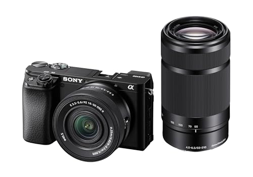 Sony Alpha A6100 Mirrorless Camera