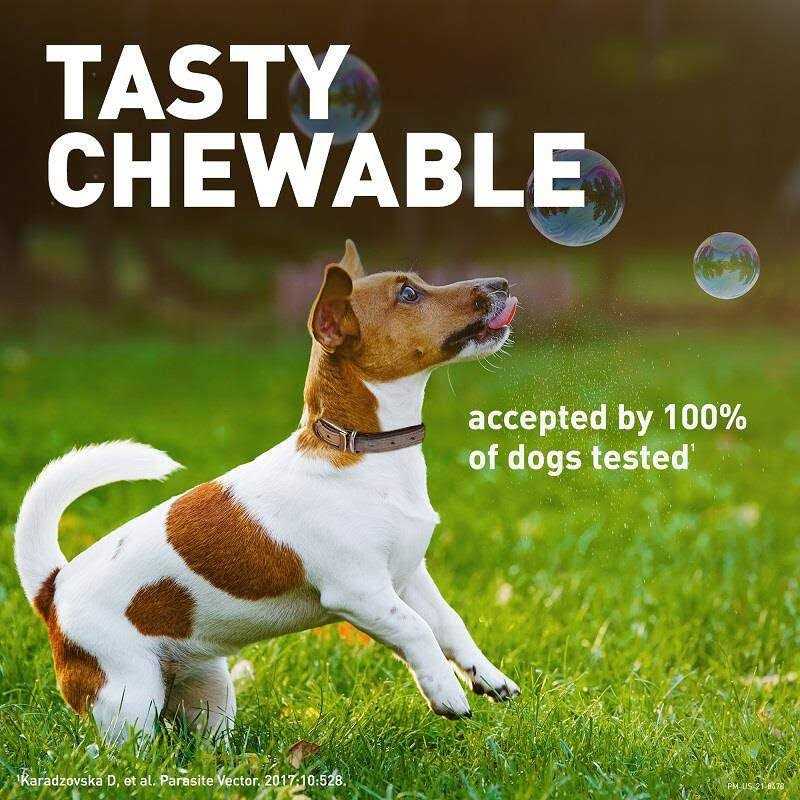 Credelio Chewable Tablet for Dogs 50.1-100 lbs - Pet Supplies online store