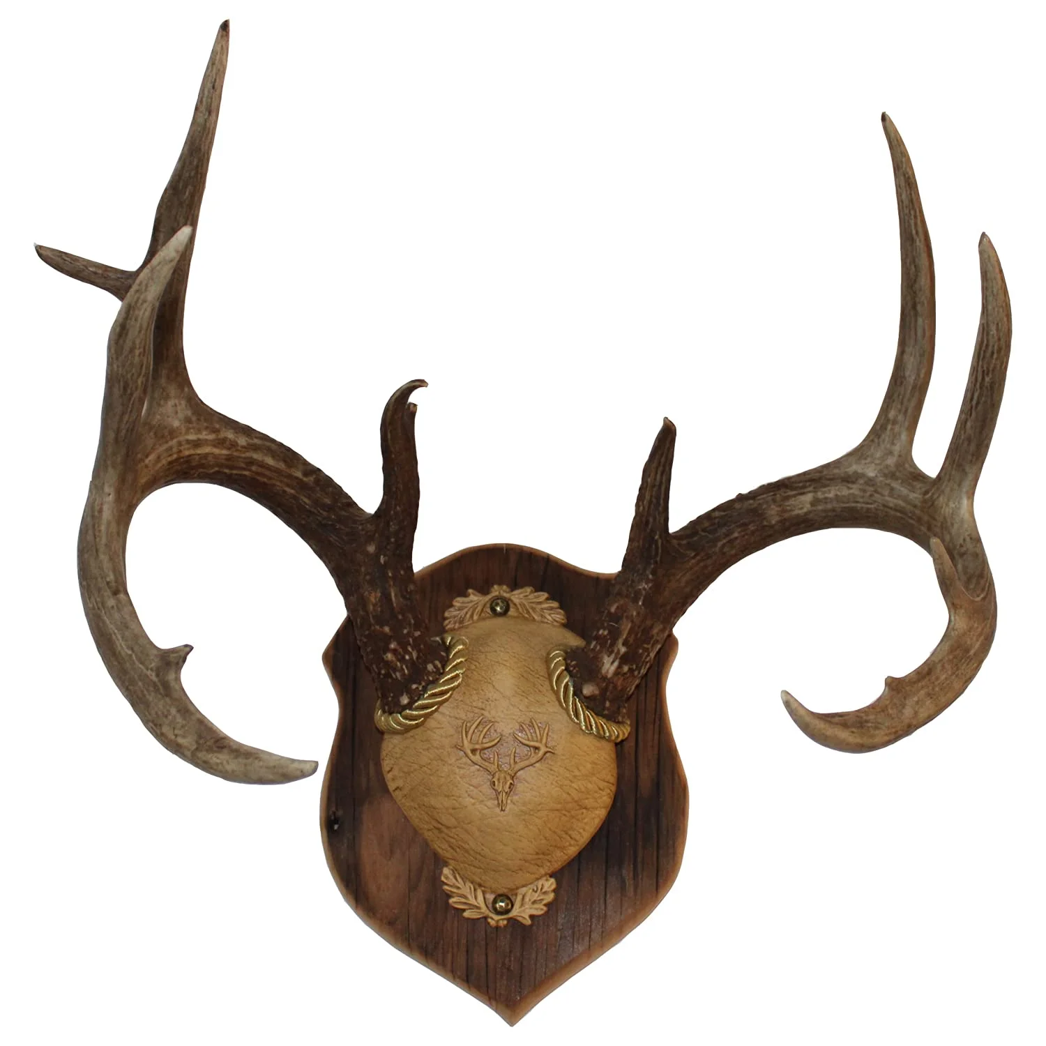 Outdoor Hunting Lab Deer Antler Mounting Plaque - Solid Old Barnwood for Mule Deer and Whitetail Deer 10