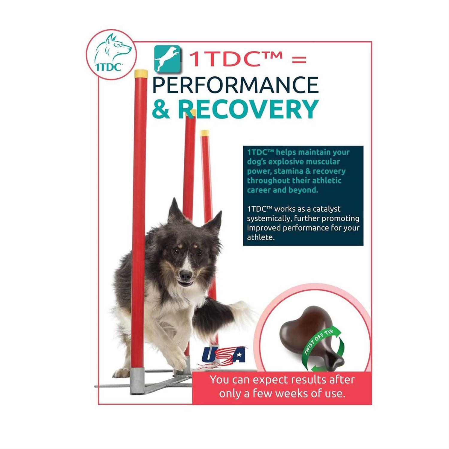 1-TDC Dual Action Periodontal & Joint Health for Cats & Dogs - 60 Soft Gels - Pet Supplies online store