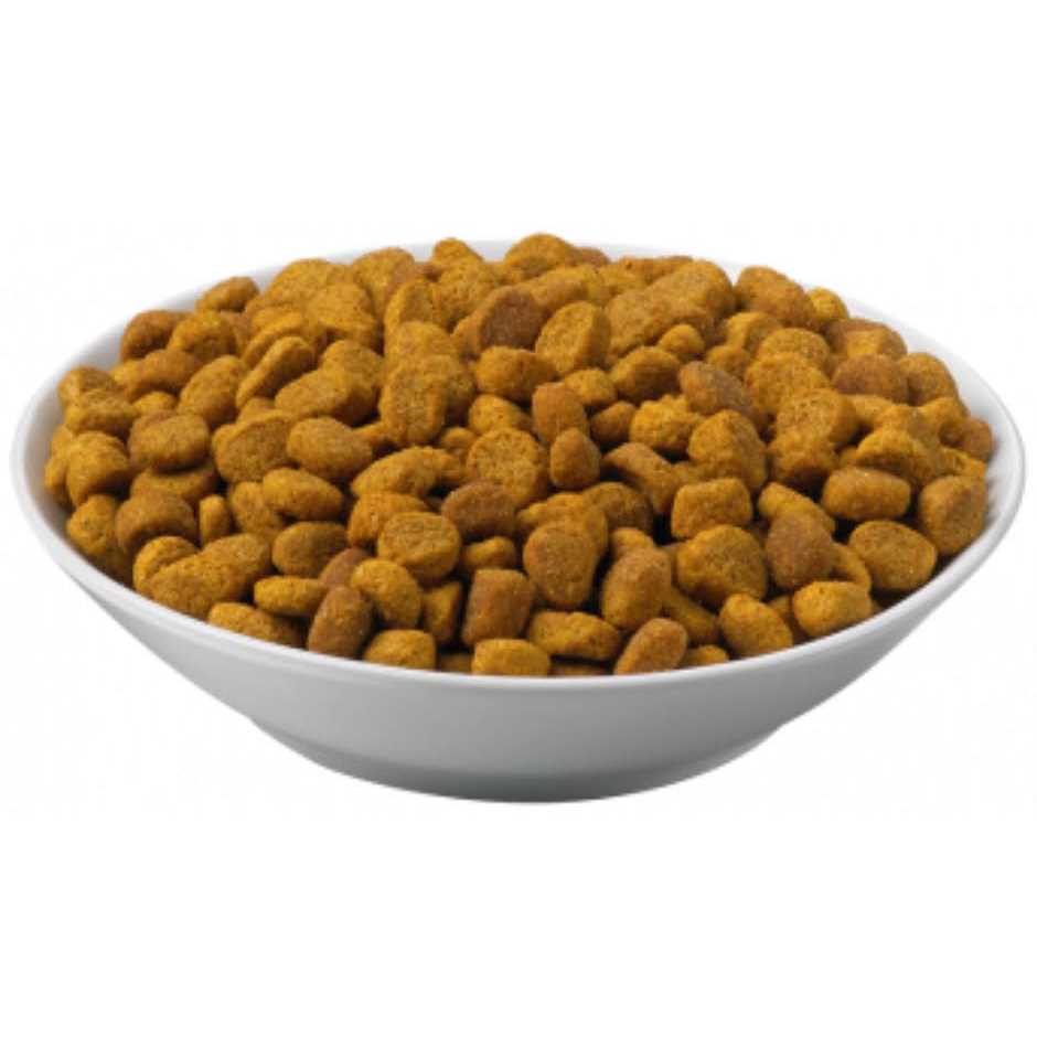 Purina Pro Plan Veterinary Diets OM Overweight Management Formula Dry Cat Food - Pet Supplies online store