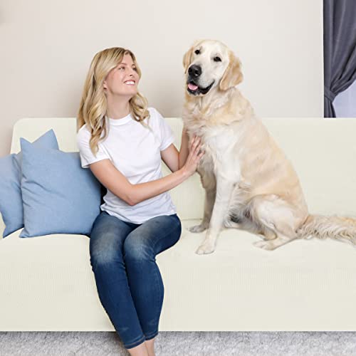 subrtex Stretch Couch Cover Set 1 Piece Sofa Slipcover with A Gift Cushion Cover for 2 Cushion Couch Loveseat(Ivory,Loveseat)
