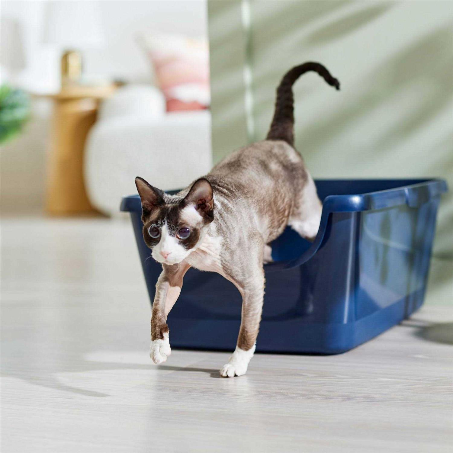 Frisco High Sided Cat Litter Box - Pet Supplies online store