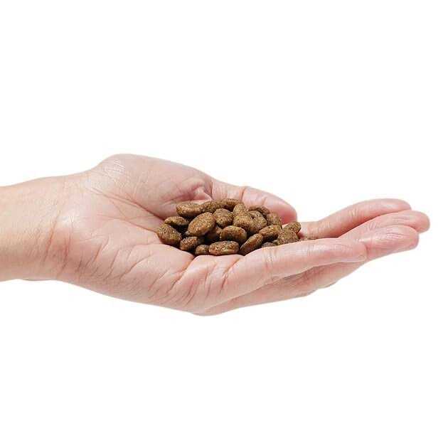 Dr. Pol Dog Food Grain-Free - Pet Supplies online store