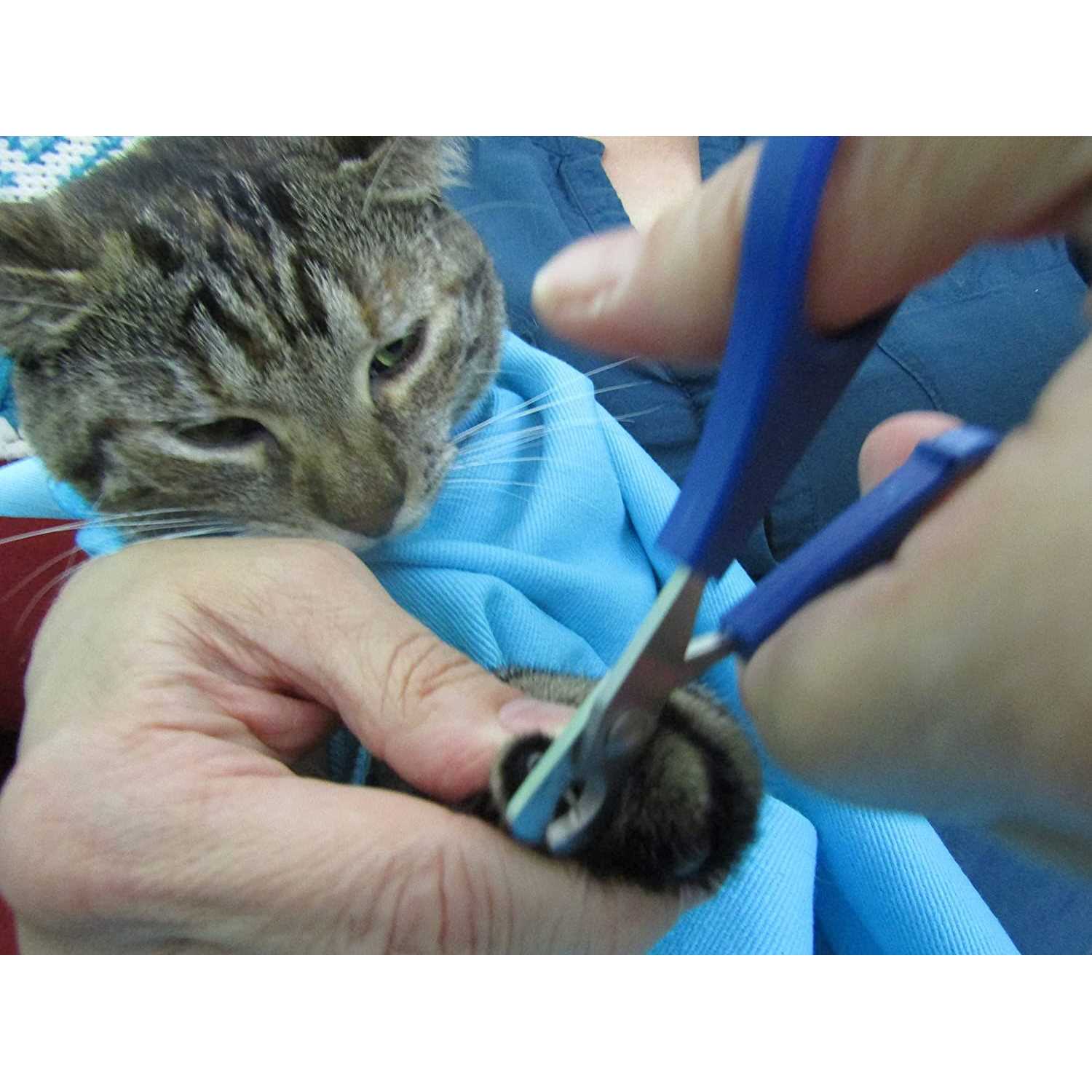 Cat-in-the-Bag Cozy Comfort Carrier - Pet Supplies online store