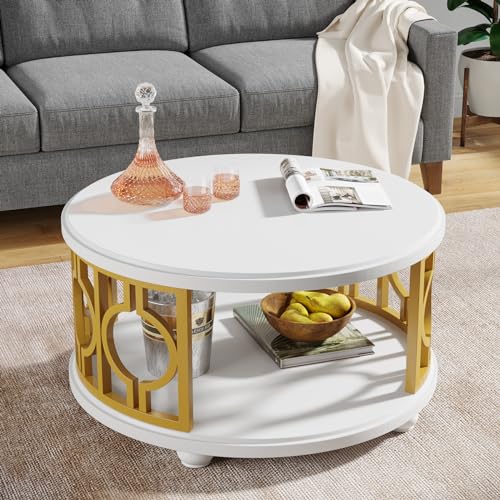 2-Tier Coffee Table, Modern Round Center Table with Storage Shelf for Living Room