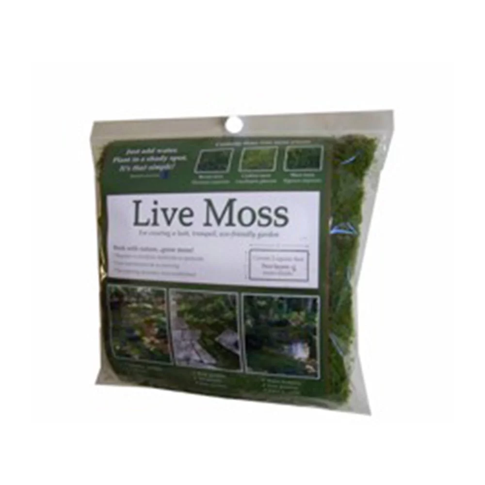 Live Moss Pack - 1.25sqft