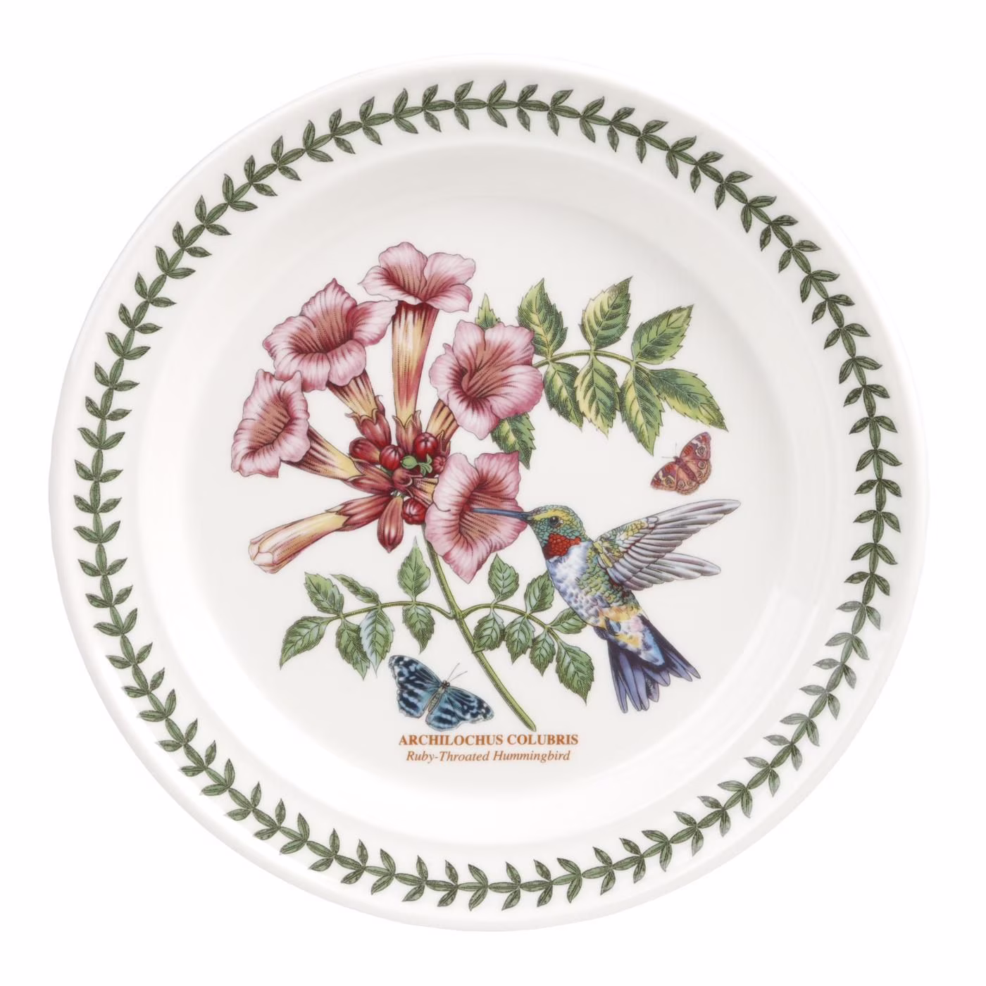 Portmeirion Botanic Garden Birds Dinner Plate 10.5 Inch, Ruby Hummingbird