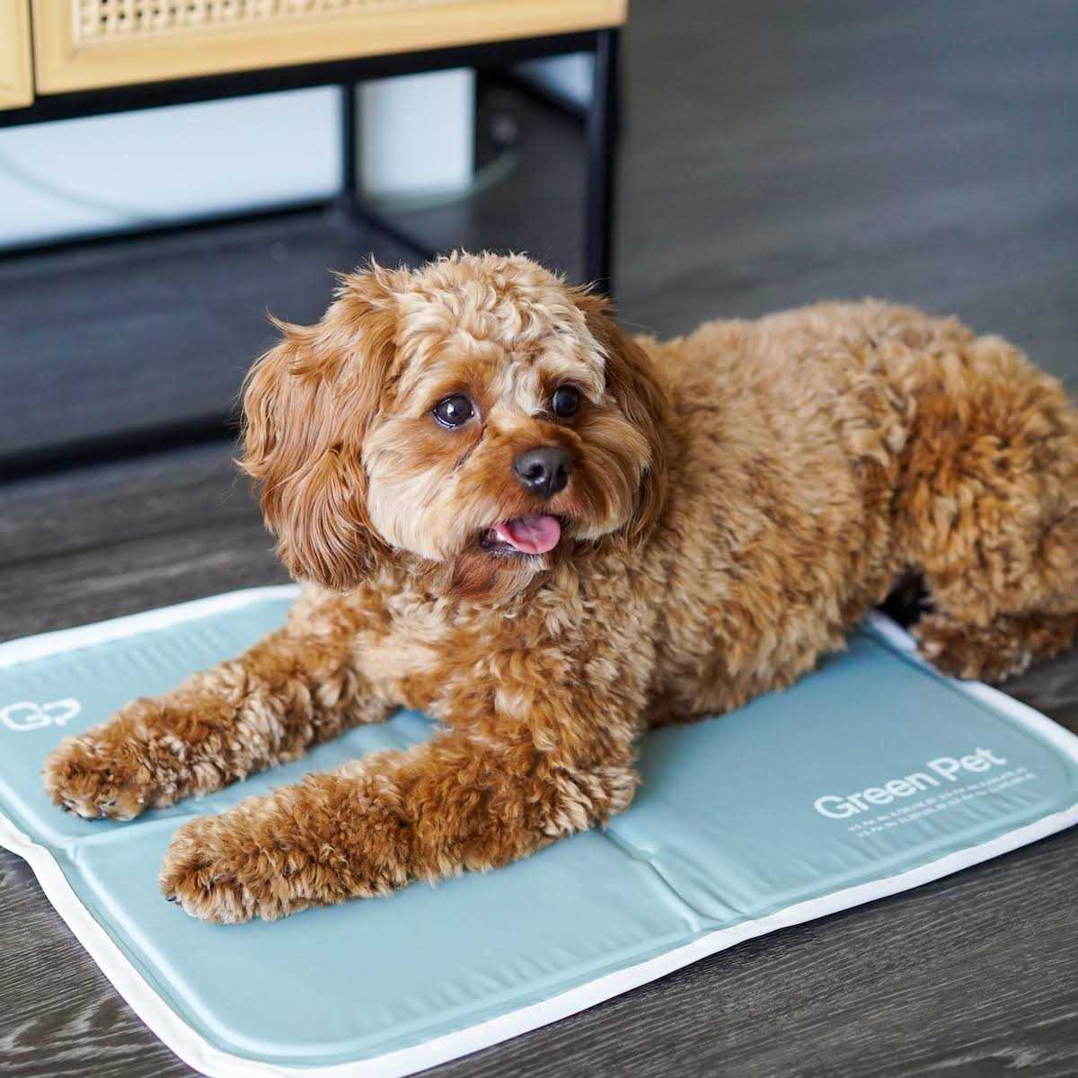 Cool Pet Pad The Green Pet Shop Sage Gray Self Cooling Pet Pad - Pet Supplies online store