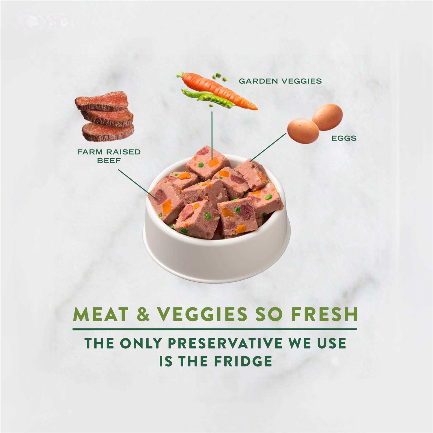 Freshpet Dog Food Chunky Beef Recipe - Pet Supplies online store