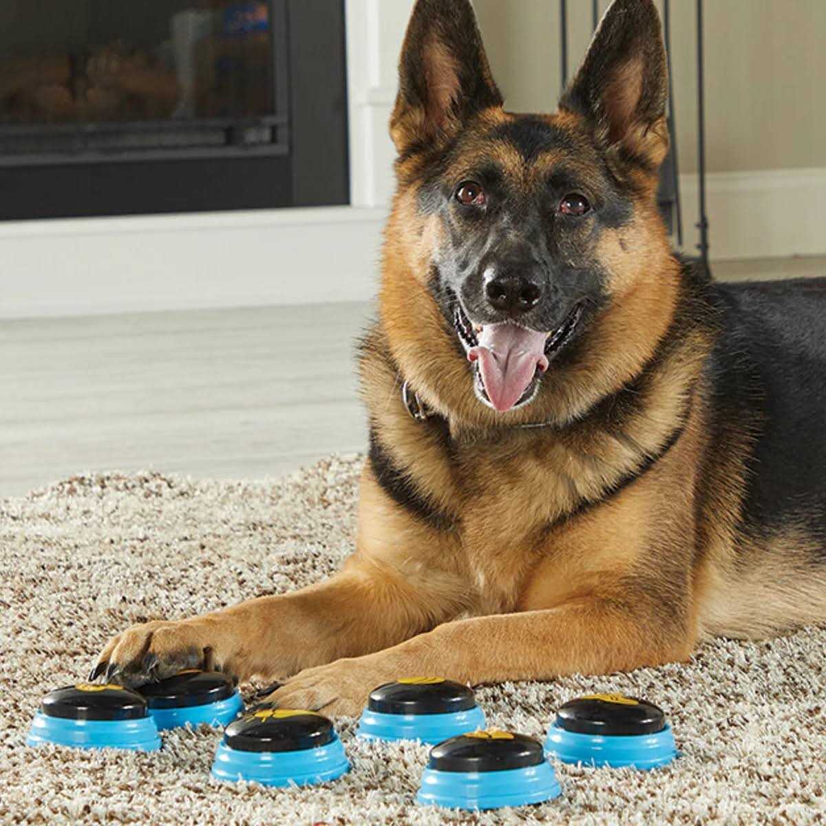 Hunger for Words Talking Pet Essential Words - Pet Supplies online store