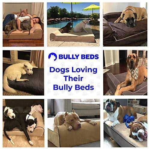 Bully Beds Bully Bed Orthopedic Waterproof Dog Beds - Pet Supplies online store