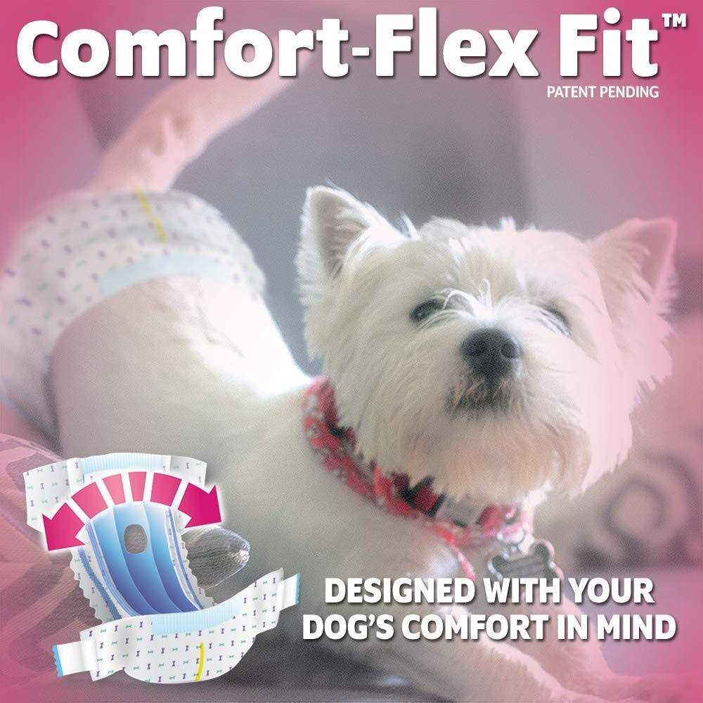 Out! Disposable Female Dog Diapers - Pet Supplies online store