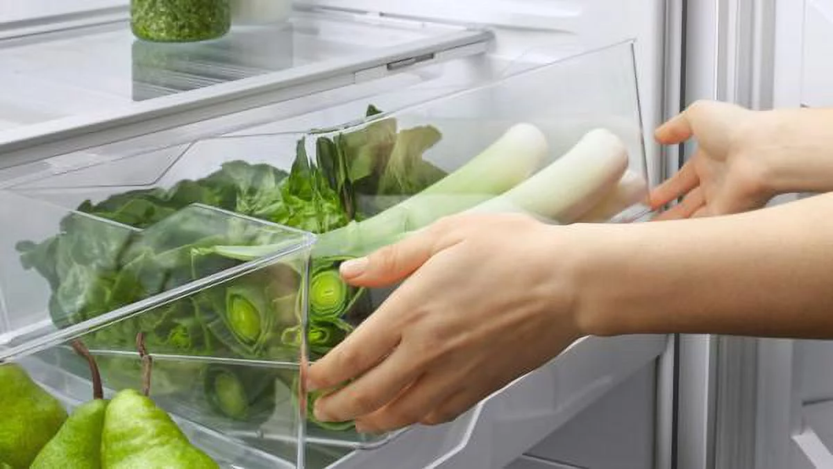 Fisher Paykel RF170ADJSX4 French Door Refrigerator in Stainless Steel