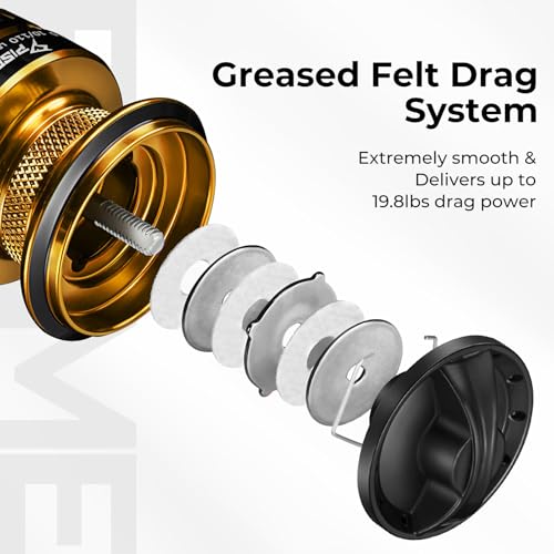 Piscifun Flame Spinning Reels, Lightweight 9+1BB Ultra Smooth Spinning Fishing Reels, 19.8LBs Max Drag, 2000, 3000, 4000, 5000 Series, Red & Blue