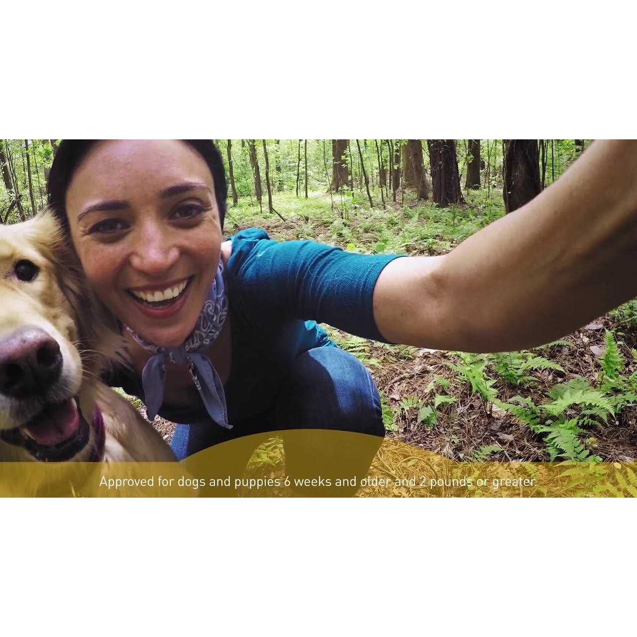 Interceptor Plus for Dogs - Pet Supplies online store