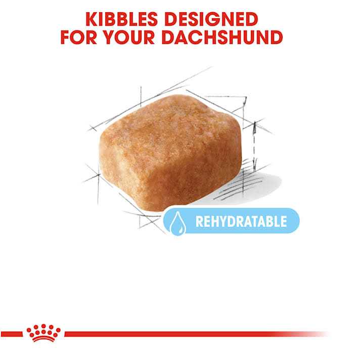 Royal Canin Breed Health Nutrition Dachshund 8+ Adult Dry Dog Food - Pet Supplies online store