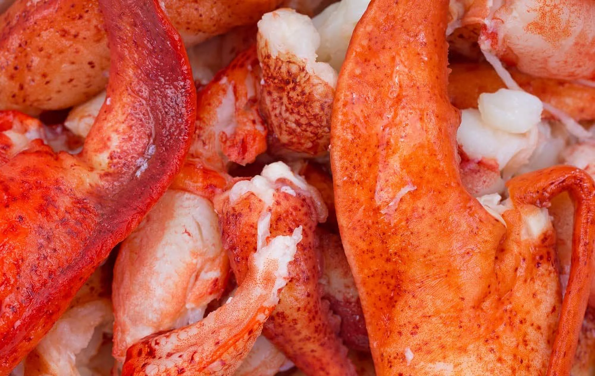 (2 lb Bag) Lobster Meat Claw and Knuckle Meat- Product of Maine or Canada