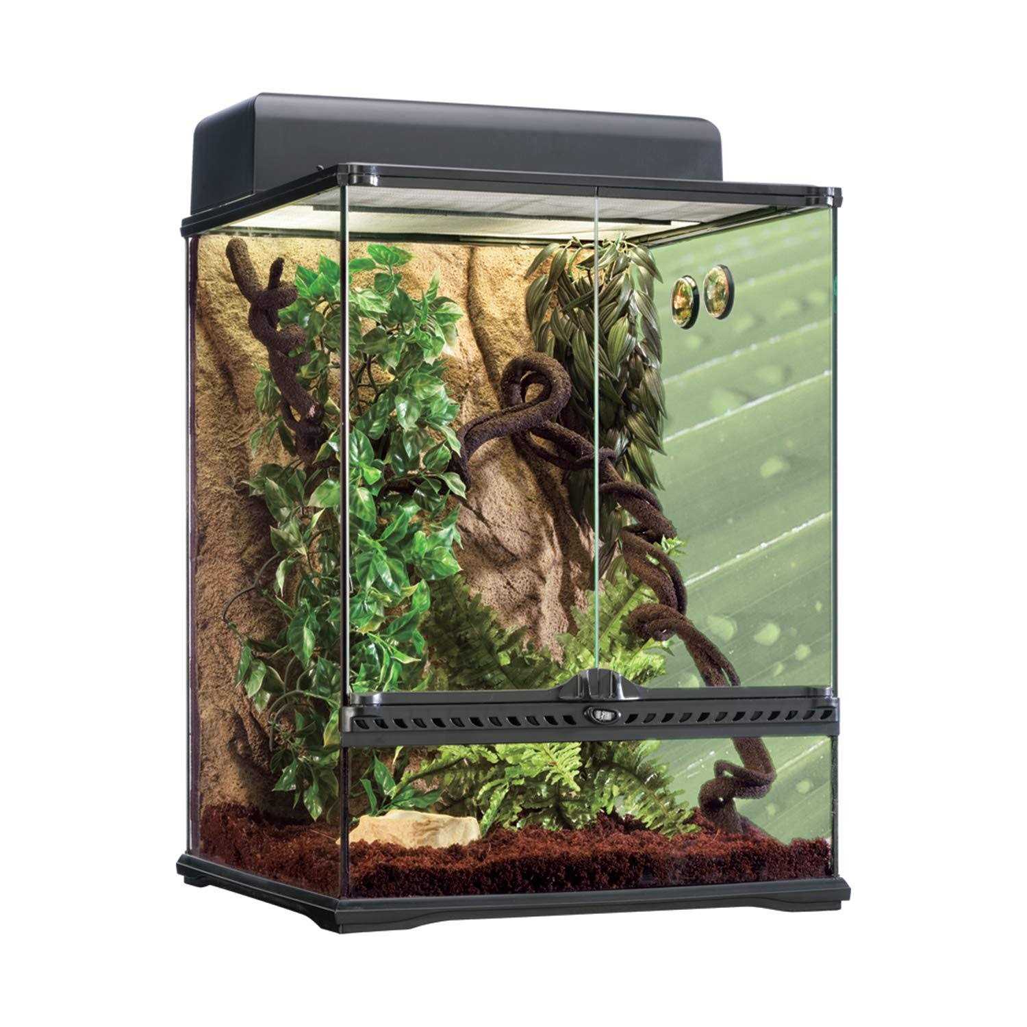 Exo Terra Rainforest Habitat Kit - Pet Supplies online store