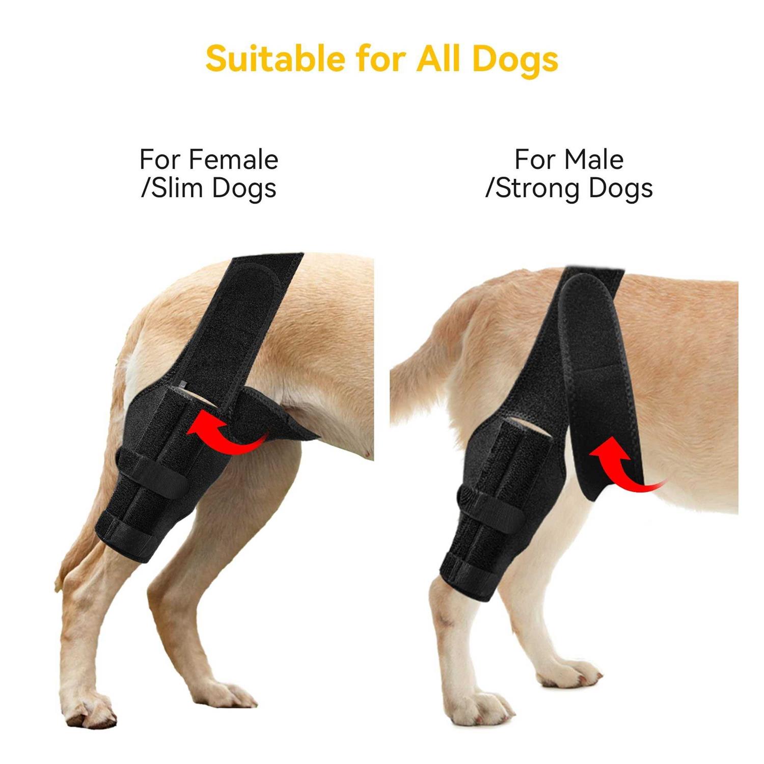 soundfuse Dog Knee Brace, Leg Brace for ACL with Cruciate Ligament Injury, Joint Pain and Muscle Sore - Pet Supplies online store