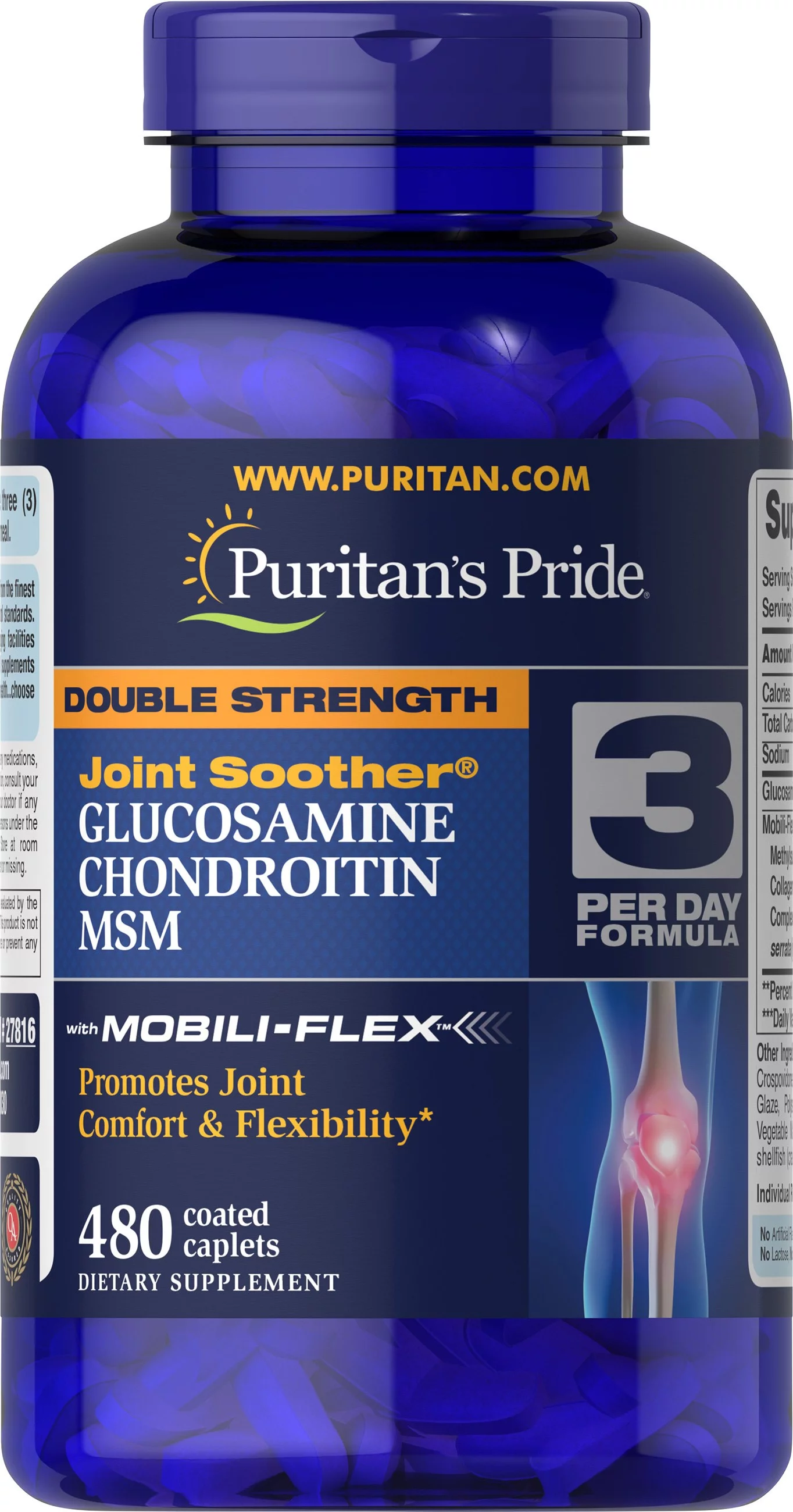 Puritan's Pride Double Strength Glucosamine, Chondroitin and Msm Joint Soother, 480 Count