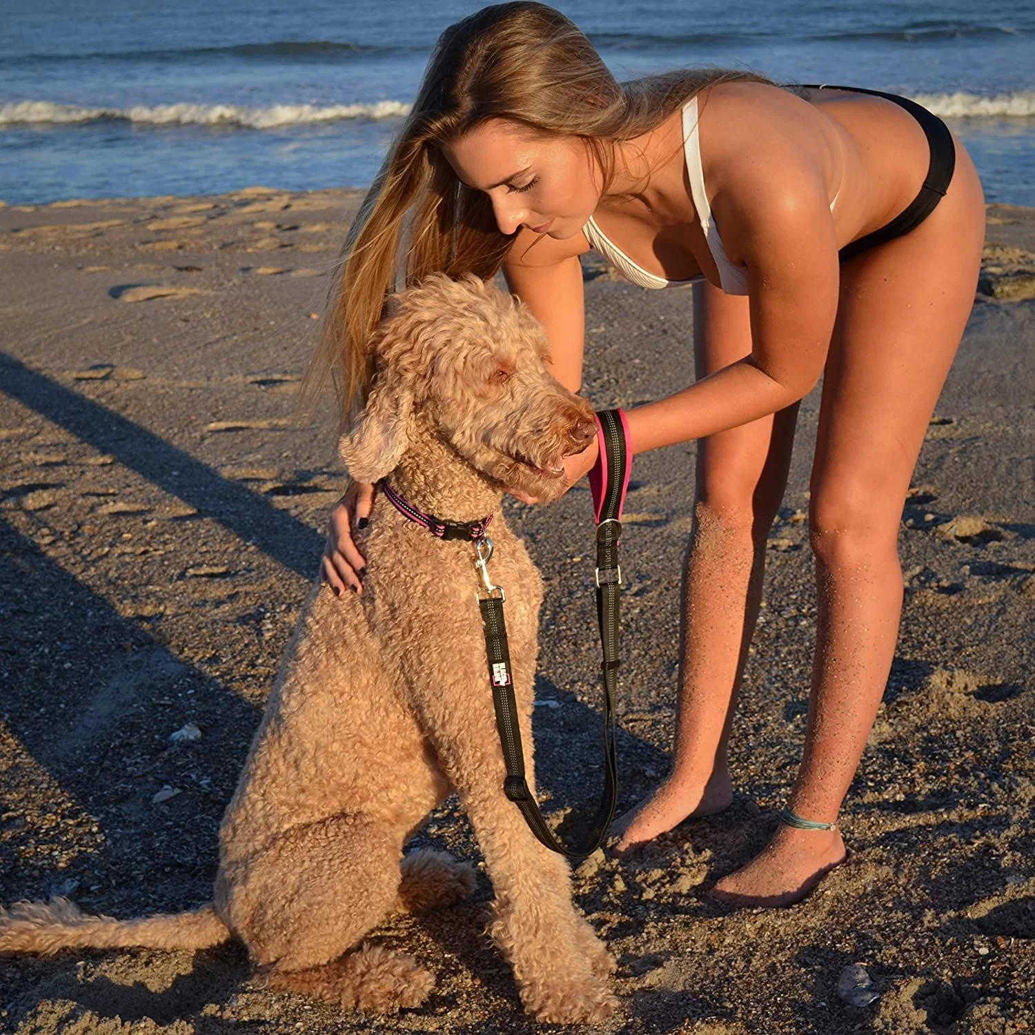 BLACK RHINO Training Dog Leash with Padded Handle Adjustable (Pink/Black)