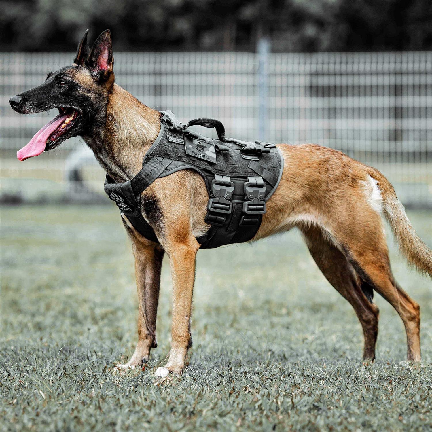 PETAC GEAR Tactical Dog Harness K9 Dog Training Vest Adjustable Padded Police Service Dog Working MOLLE Vests for Large Medium Dogs Mals GSD Lab - Pet Supplies online store