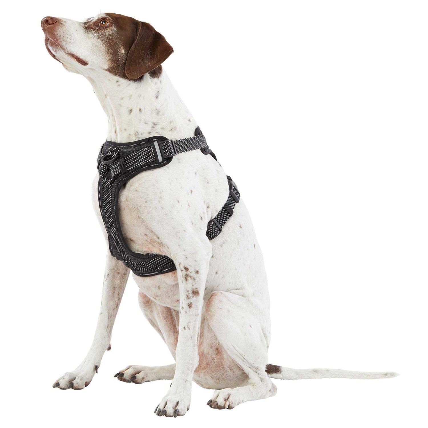 Top Paw Ultra-Reflective Dog Harness - Pet Supplies online store