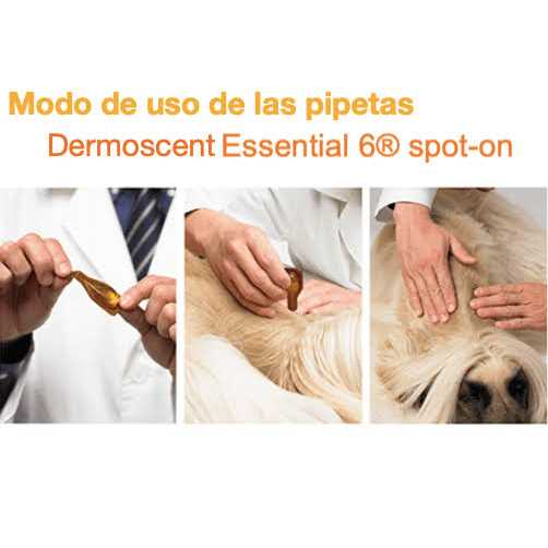 Dermoscent Essential 6 Spot-On Dogs - Pet Supplies online store