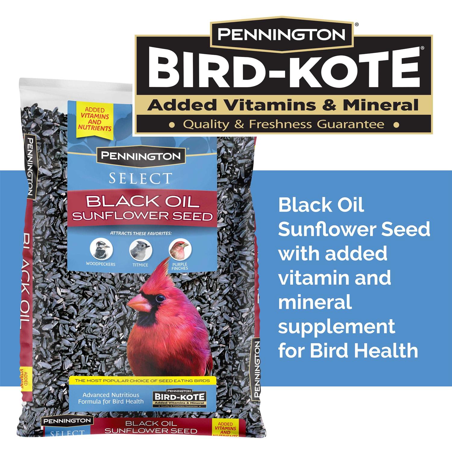 Pennington Select Black Oil Sunflower Seed Wild Bird Feed - Pet Supplies online store