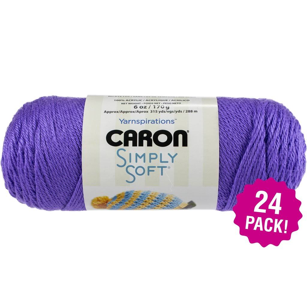 Caron Simply Soft Solids Yarn 24/Pk-Grape, Purple
