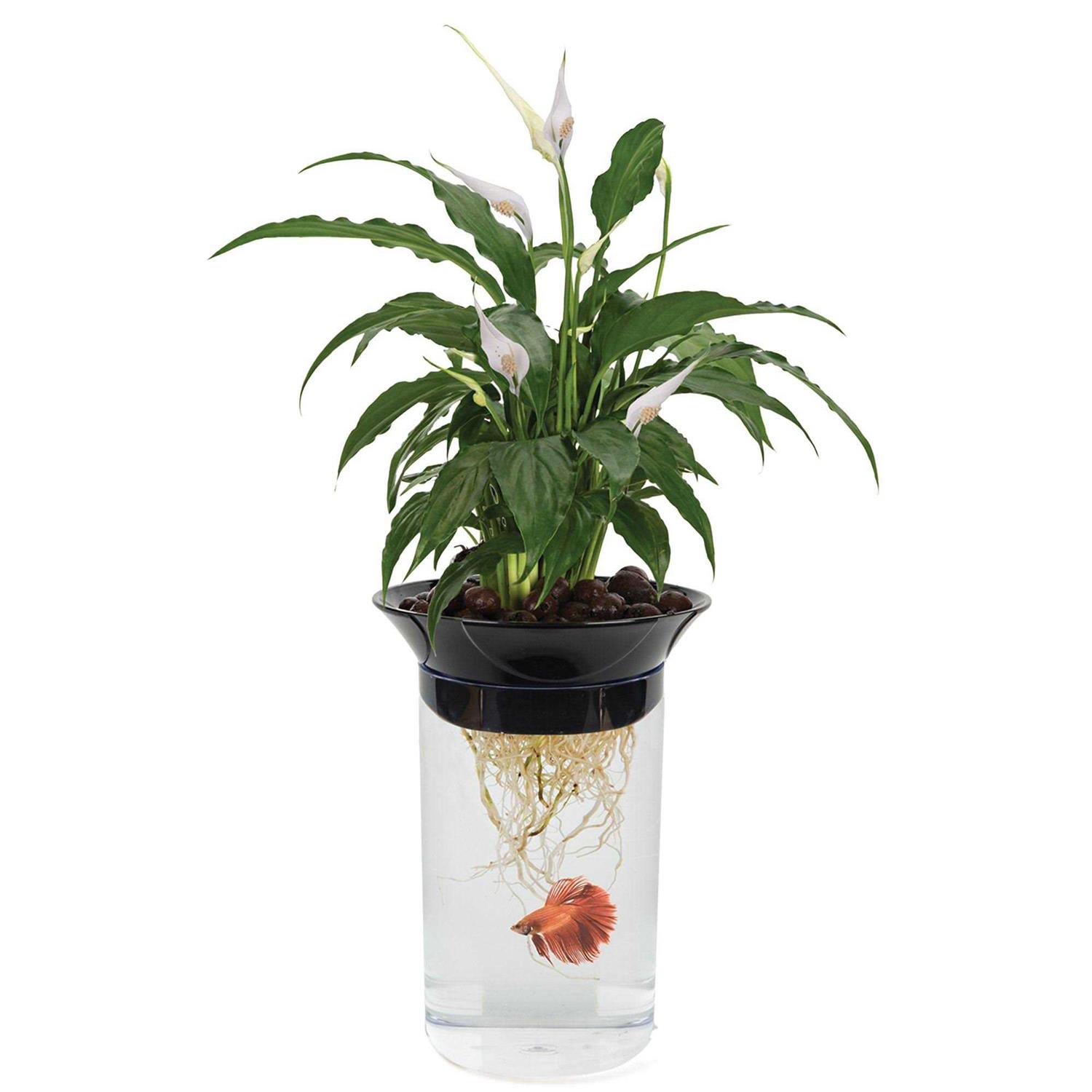 Penn Plax Nature's Aqua-Ponic Planter & Fish Habitat - Pet Supplies online store