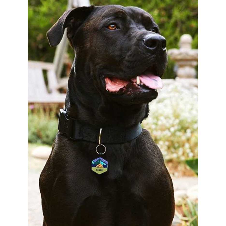 QALO customized Silicone Dog ID Tag - Pet Supplies online store