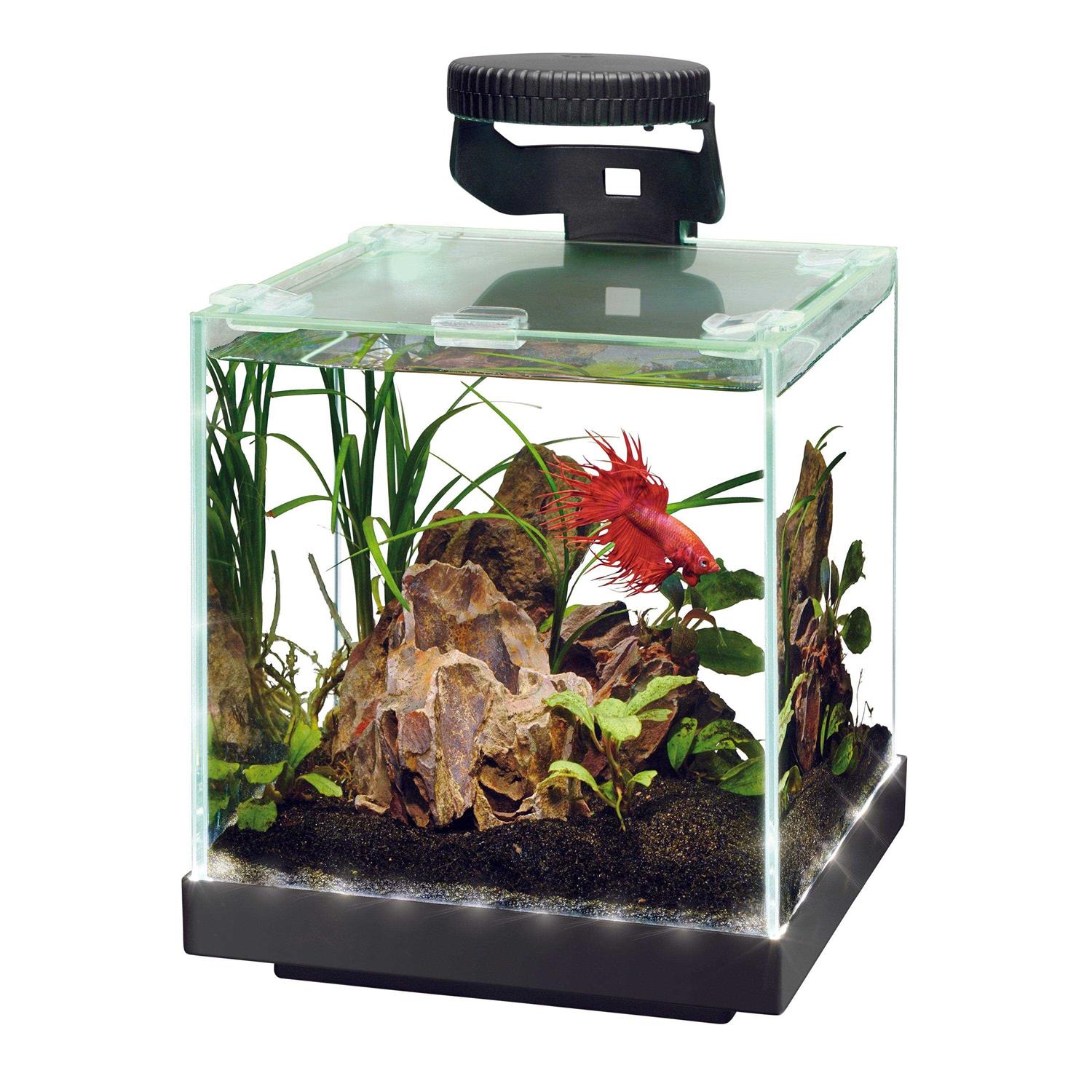 Aqueon Edgelit Cube Aquarium - Pet Supplies online store