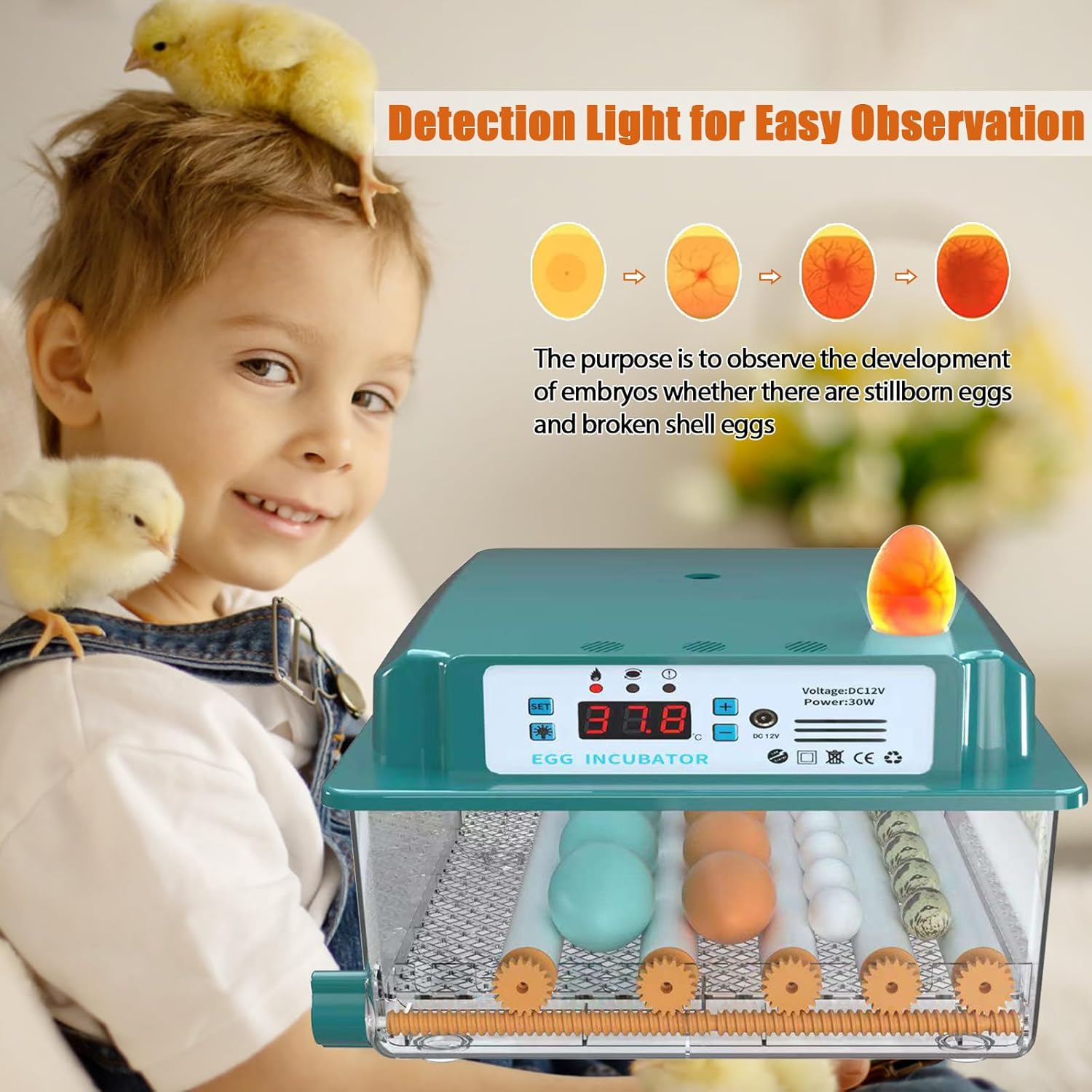 Ownsig Eggs Incubator with Automatic Egg Turning, Temperature Humidity Control, 16 Eggs Hatching Incubator with LED Candler, Adjustable Egg Tray, Incubators for Hatching Chickens, Pigeons, Quails