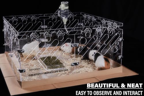 Acrylic Guinea Pig Cages - 4x2ft Small Animal Cage | DIY Extendable | Easy-to-Clean Disposable Bottom (without Lid)