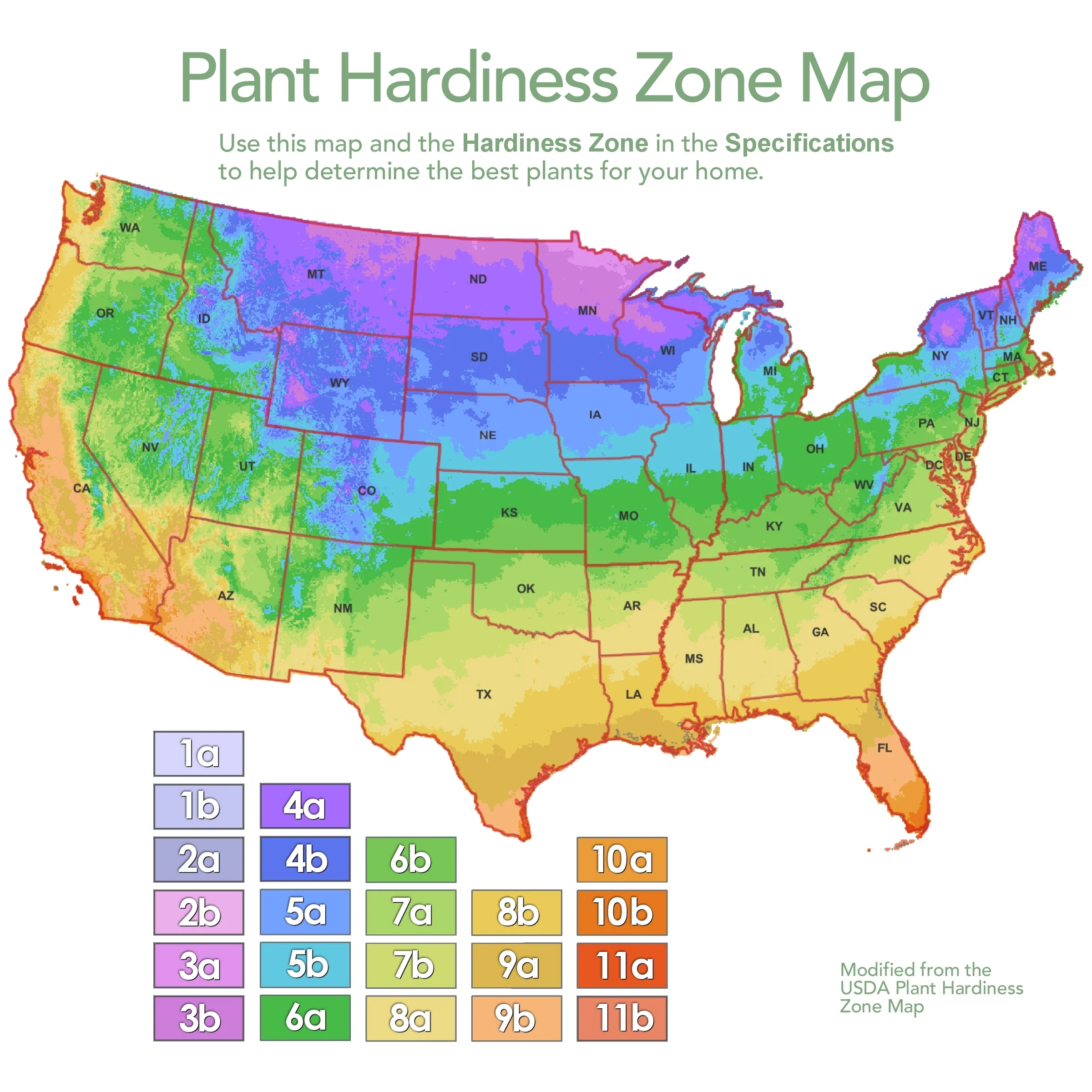 1 qt. Clematis Collection Perennial Plants with Multicolor Flowers