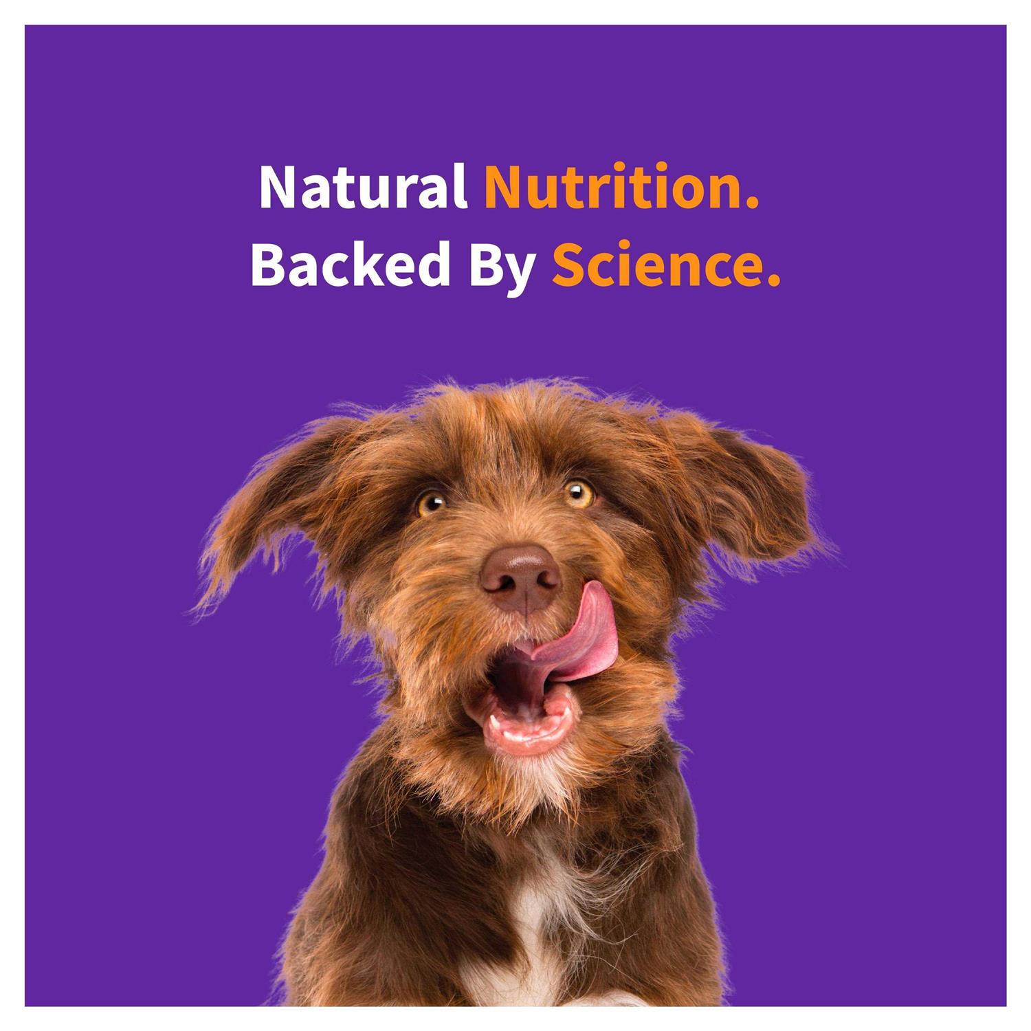Halo Elevate Free Red Meat Recipe Dry Dog Food - Pet Supplies online store
