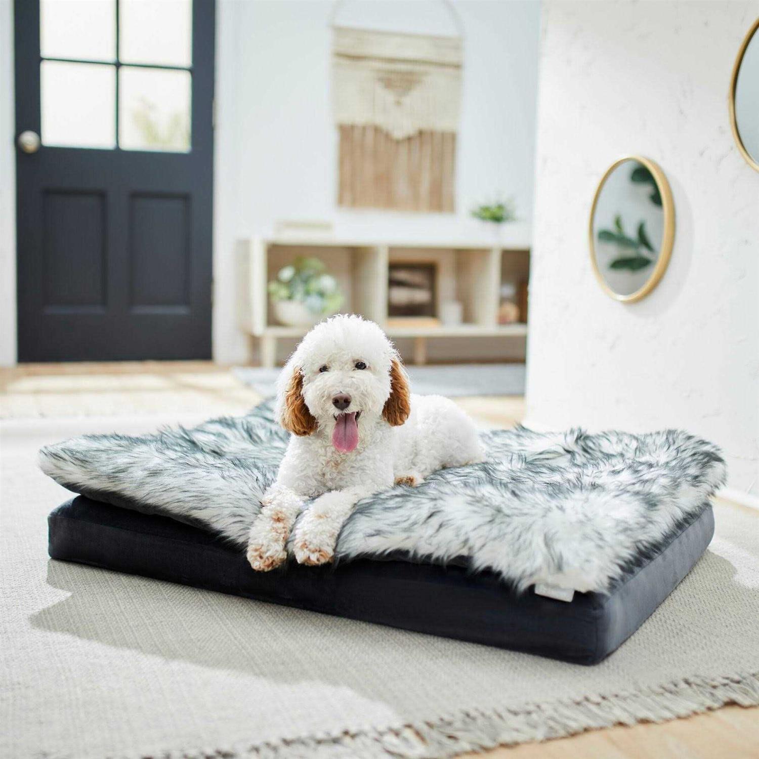 Frisco Plush Orthopedic Pillowtop Dog Bed w/Removable COVER - Pet Supplies online store