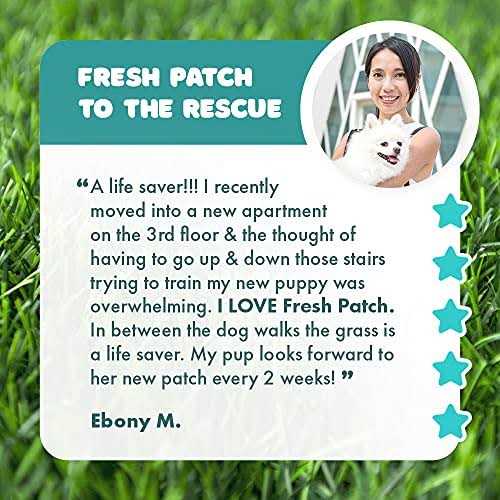 Fresh Patch Large Real Grass Pee and Potty Training Pad for Dogs between 15 and 30 pounds - Pet Supplies online store