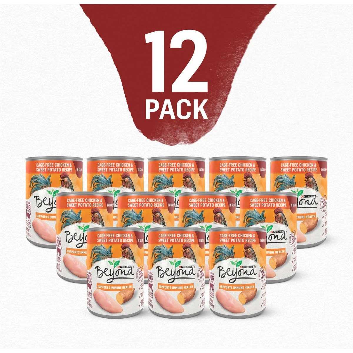 Purina Beyond Chicken and Sweet Potato in Gravy Grain Free Wet Dog Food - Pet Supplies online store