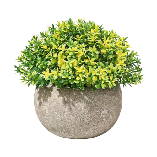 Fake Plants Artificial Plant Mini Faux Grass Ball in Paper Pots Artificial Succulent Plants for Office Home Bedroom Desk Windowsills Living Room Office Decortion