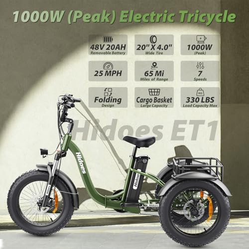Hidoes 1000W Peak Electric Tricycle for Adults, 20