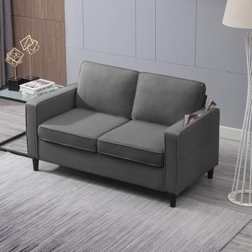 Loveseat Sofa Small Love Seat Couches for Small Spaces,54