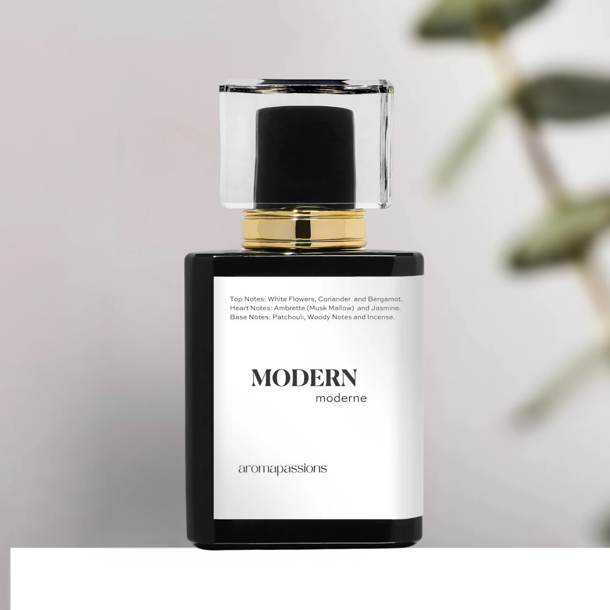 MODERN | Inspired by Tom Ford WHITE PATCHOULI | Pheromone Perfume for Women | Extrait De Parfum | Long Lasting